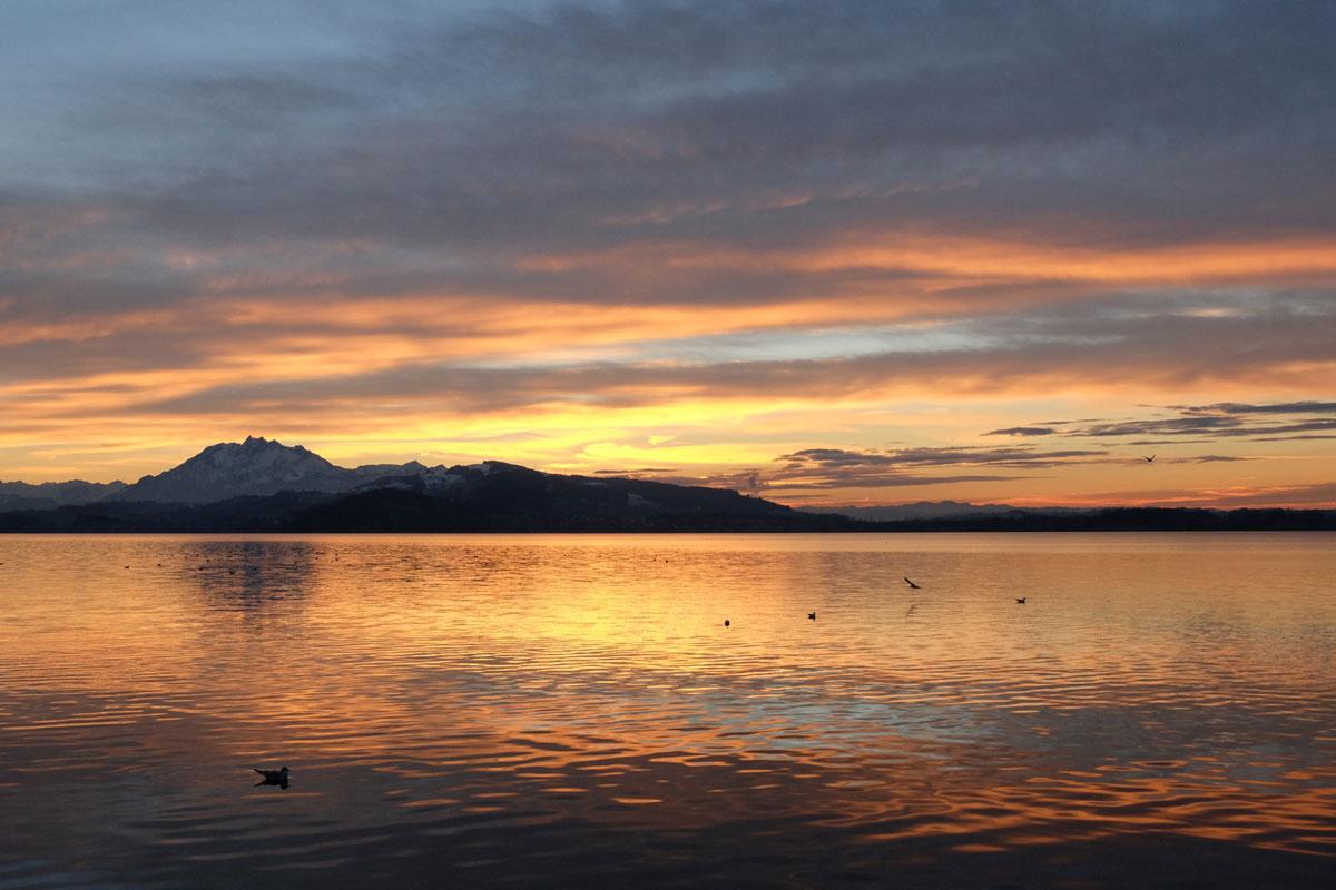 Le crépuscule sur le lac de Zug